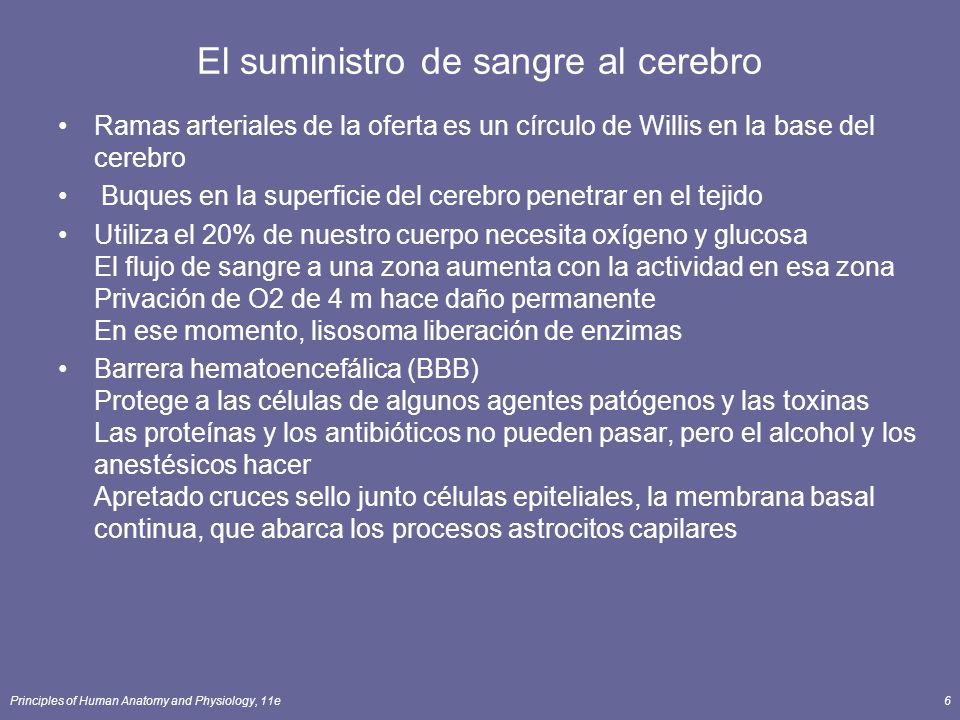 Suministro de sangre al círculo cerebral de willis